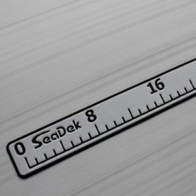 Fish Rulers Fish Rulers