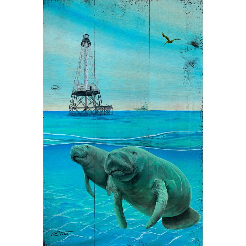 Alligator Reef Manatees Alligator Reef Manatees