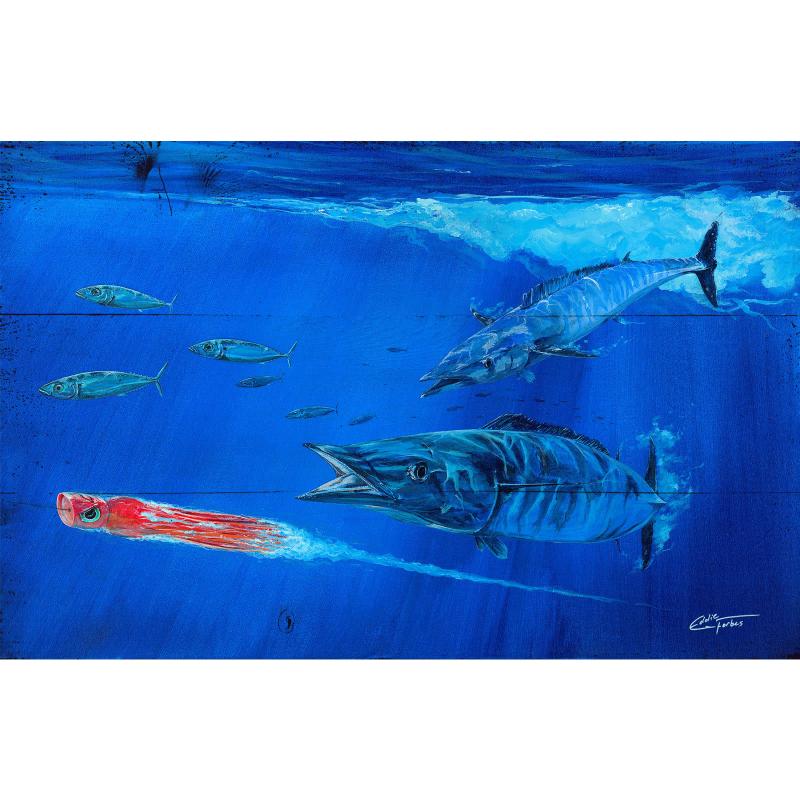 Wahoo Chase Wahoo Chase