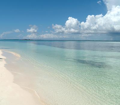 Beaches Beaches
