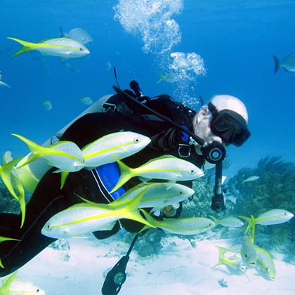 Diving & Snorkeling Diving & Snorkeling