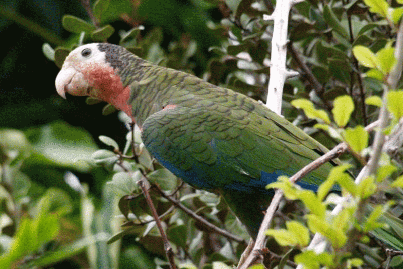 Eco Tours Eco Tours