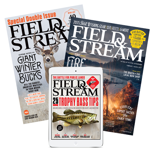 Field & Stream Field & Stream
