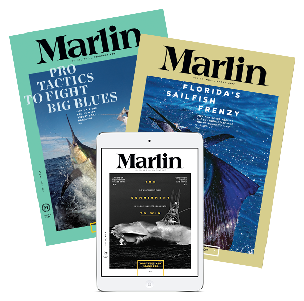 Marlin Marlin