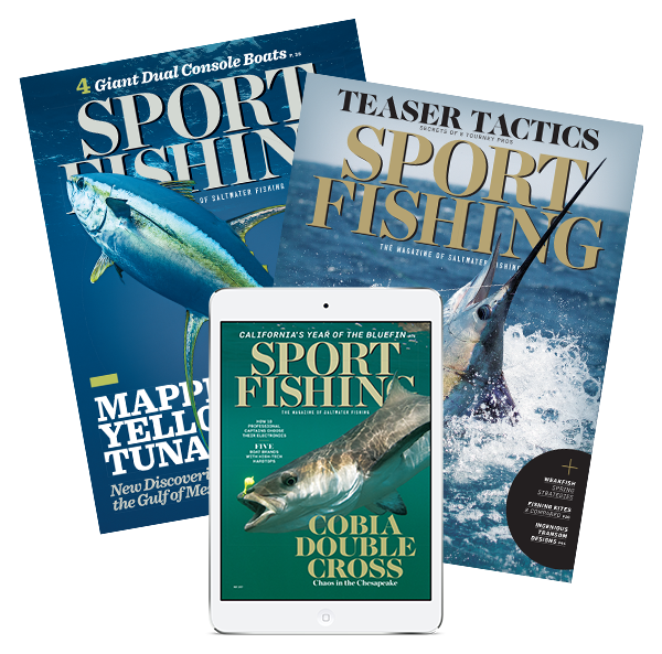 Sport Fishing Sport Fishing