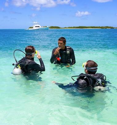 Island School Island School