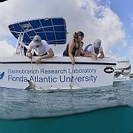 FAU Research Vessel | Dusky Marine - Custom Built Offshore & Shallow Water Fishing Boats FAU Research Vessel | Dusky Marine - Custom Built Offshore & Shallow Water Fishing Boats