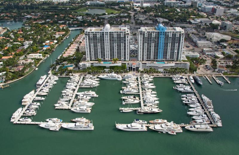 Marina Marina