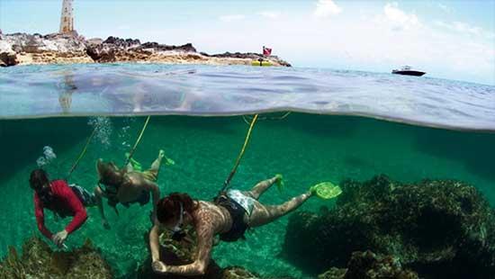 BBrownie's Third Lung Floating Gas Systems | Brownie's YachtDiver BBrownie's Third Lung Floating Gas Systems | Brownie's YachtDiver