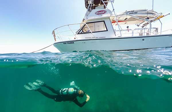 YachtDiver Crew Training | Dive Officer | Brownie's YachtDiver YachtDiver Crew Training | Dive Officer | Brownie's YachtDiver