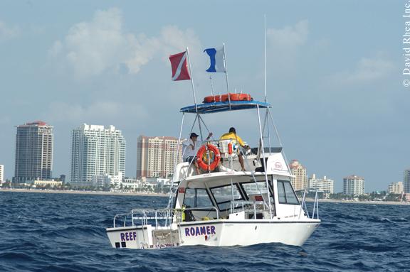 Dive Trips | Fort Lauderdale Diving | Brownie's Southport Divers Dive Trips | Fort Lauderdale Diving | Brownie's Southport Divers