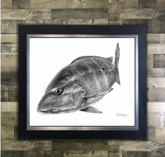 Mutton Snapper B/W Mutton Snapper B/W