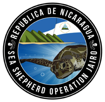 For the Sea Turtles For the Sea Turtles